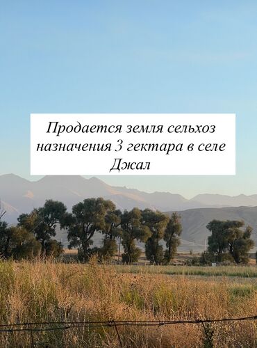 прадаю дом село джал: 300 соток, Для бизнеса, Красная книга