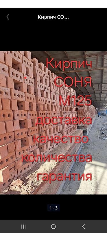 day date: Кирпич «СОНЯ» — заводское производство - Керамический пустотелый — 3