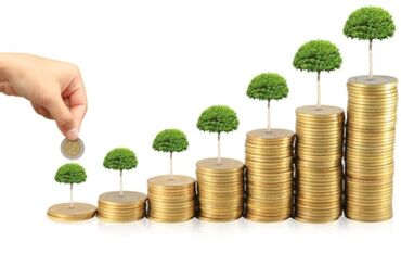 Металлоискатели: 5 ildir faliyyet gösderen isdixana biznesine investor axtarilir