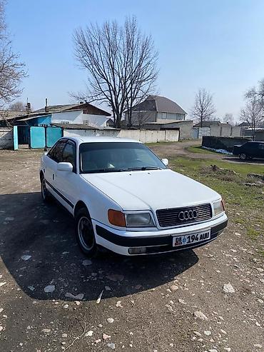 Audi: Audi 100: 1993 г., Седан — 3