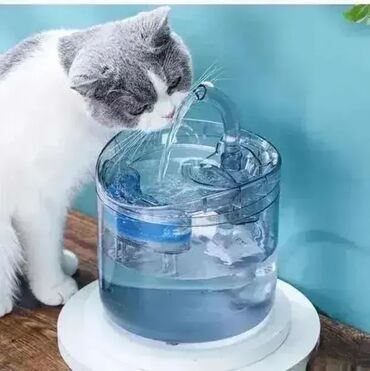 polovne kuhinje iz uvoza крагујевац: Fontana za ma?ke fontana za macke sa filterom 1.8L Fontana za ma?ke