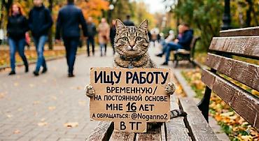 работы в телеграмме: Услуга: ищу работу (временной или на постоянной основе) Описание: - — 1