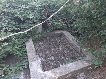 Həyət evləri və villaların satışı: 6 otaqlı, 200 kv. m, Kredit yoxdur, Orta təmir -da lalafo.az — 17 Həyət evləri və villaların satışı: 6 otaqlı, 200 kv. m, Kredit yoxdur, Orta təmir — 17