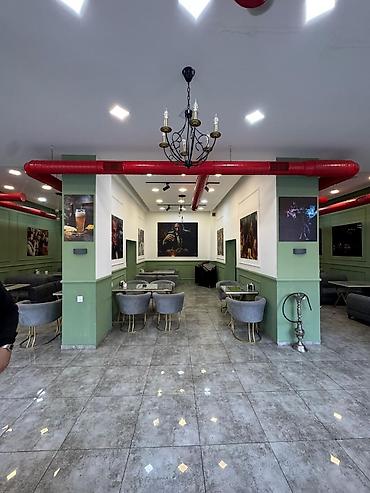 qaragilə ağacı satışı: TECILI SATILIR. Real aliciya endirim olacaq Havalandırma boruları — 1