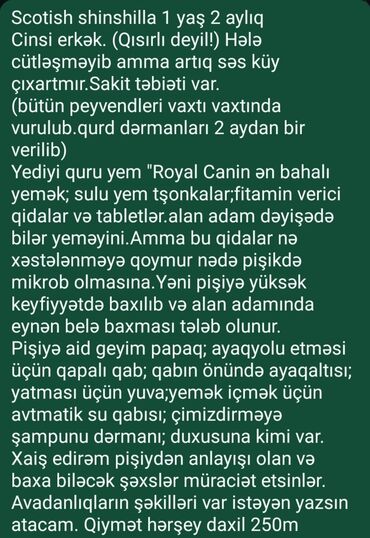 Pişiklər: Şinşilla, Erkək, Ünvandan götürmə