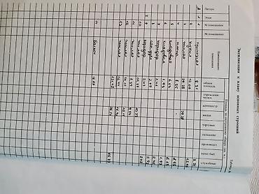 Продажа коттеджей и домов: Продаю дом Нижняя-Аларча ул.Новая/школьный переулок 1,5 этажный дом — 12