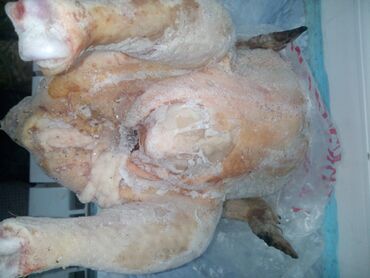 купить набор инструментов force: Бройлер :, 2 кг