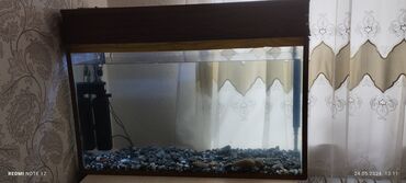 Akvariumlar: 150ltr su tutur prablemi yoxdur filtiri qızdırıcısı toru işığı var