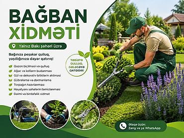 mal dili kaktus: 🌿 BAĞBAN XİDMƏTİ 🌿 Bağınıza peşəkar qulluq lazımdır? Doğru — 1