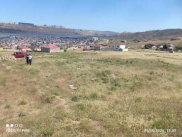 Torpaq sahələrinin satışı: 4 sot, Kənd təsərrüfatı, Mülkiyyətçi, Kupça (Çıxarış), Bələdiyyə — 12
