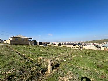 hökmeli evler: 5 sot, Kənd təsərrüfatı — 7