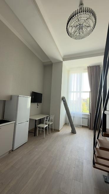 сапат дом: 40 м², Жарым -жартылай эмереги бар — 1