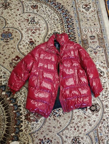 стильная одежда больших размеров для женщин: Пуховик ZARA OUTERWEAR, женский размер овер(EUR/USA . Яркий глянцевый