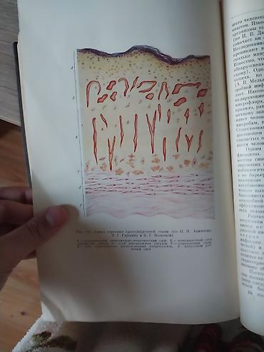 Kitablar və jurnallar: Книга нейрохиррухгия kitab rus dilindədi 755 səhifədən ibarətdir — 9