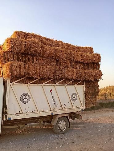 тук сена: Продам тюки чистой ячменной соломы,тюки большие и плотные ц 140 сом т — 1
