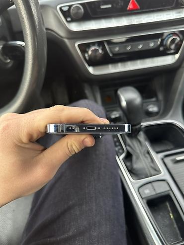 Apple iPhone: IPhone 13 Pro Max, 256 ГБ, Серебристый, 79 % — 10