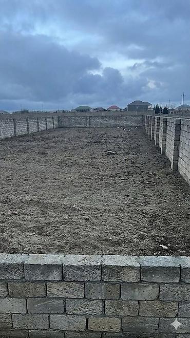 3000: 25 sot, Kənd təsərrüfatı, Mülkiyyətçi, Kupça (Çıxarış) — 3
