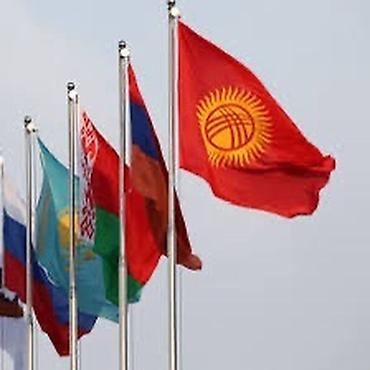 Другой текстиль: Государственные флаги стран СНГ/ЕАЭС — комплект и/или отдельные — 4