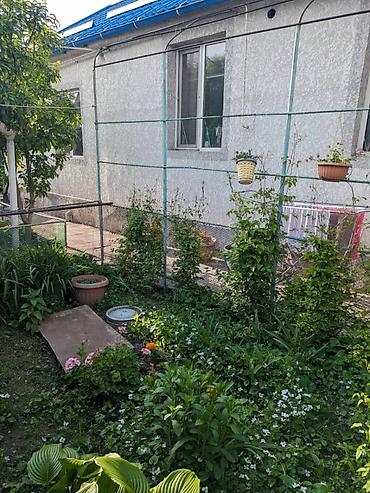 Продажа коттеджей и домов: Продается дом! Материал: кирпич Год постройки: 1976 Кол-во комнат: 5 — 25