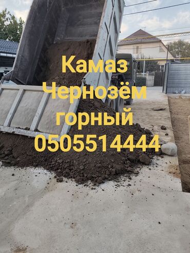 орех дрова: В тоннах, Бесплатная доставка, Зил, Камаз