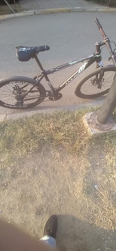 velo diski: MTB velosiped – ANNIFO/ANMIF markalı, 26" təkərli velida skorus keçmir — 1