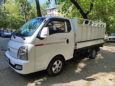 sprinter rex: Hyundai Porter: 2020 г., Пикап — 2