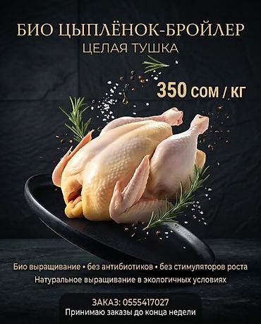 🐔 СВЕЖИЙ БИО-ЦЫПЛЁНОК-БРОЙЛЕР — 350 сом/кг Цыплята выращены в