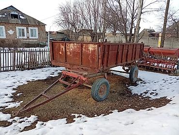 Прицепы и полуприцепы: Прицеп, Самосвал — 2