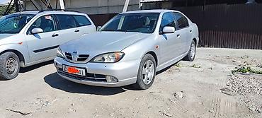 ноздри е36: Nissan Primera: 2000 г., 1.8 л, Механика, Бензин, Седан — 1