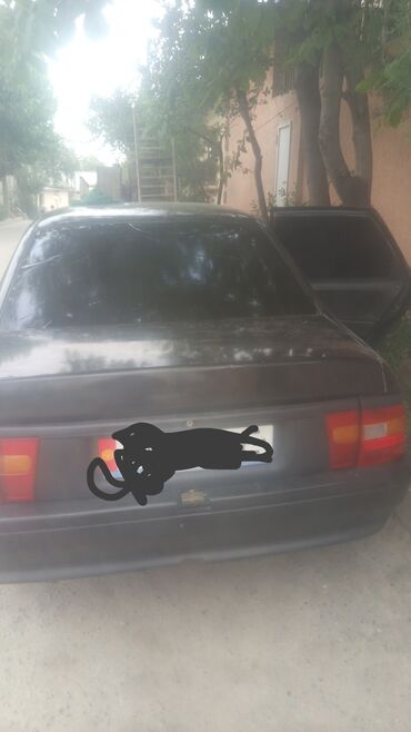 шины на сельхозтехника: Opel Opel GT: 1991 г., 1.6 л, Механика, Бензин