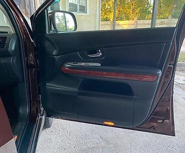 Lexus: Lexus RX: 2007 г. — 12