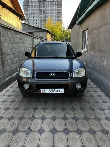 решетка на нексию: Hyundai Santa Fe: 2001 г., 2.4 л, Автомат, Бензин, Кроссовер
