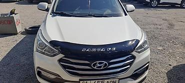 Ветровики и мухобойки: Toyota, Новый — 16