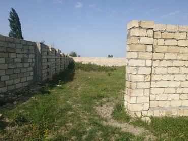 Torpaq sahələrinin satışı: 15 sot, Kənd təsərrüfatı, Mülkiyyətçi, Kupça (Çıxarış) — 7