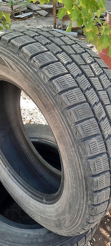 dodge ram: Шины 215 / 60 / R 16, Зима, Б/у, Комплект, Легковые, Япония, Dunlop — 3