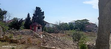 gence pasyolka: 9 sot, Makler, Kupça (Çıxarış) — 3