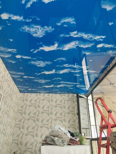 Натяжной потолок: Натяжной потолок 3D потолки, Глянцевое, Матовое Бесплатный замер, Бесплатная консультация, Гарантия — 18