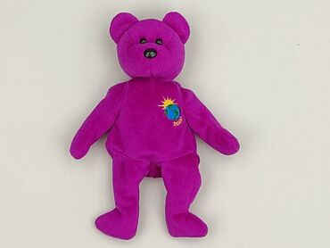 Mascot Teddy bear, condition - Very good