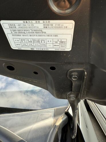 Kia: Kia Carnival: 2019 г., 2.2 л, Автомат, Дизель, Минивэн — 11