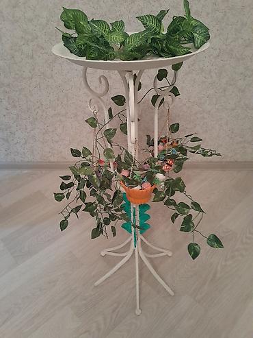 akvarium zavod istehsali: Yumru akvarium üçün əşyalar — 3