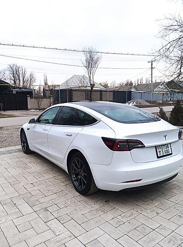 Tesla: Tesla Model 3: 2020 г., Электромобиль, Седан — 2