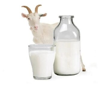 Молочные продукты и яйца: Козье молоко
1л-100с
Р/н Кудайберген