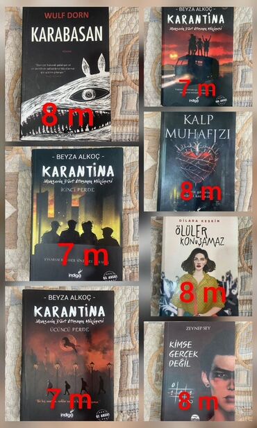 Testlər: Şəkildə "Karabasan" (Wulf Dorn), "Karantina" seriyasından ("Birinci