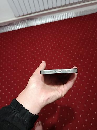 iphone x10: IPhone 16 Pro Max, Б/у, 512 ГБ, Серебристый, Зарядное устройство, Защитное стекло, Чехол, 94 % — 4
