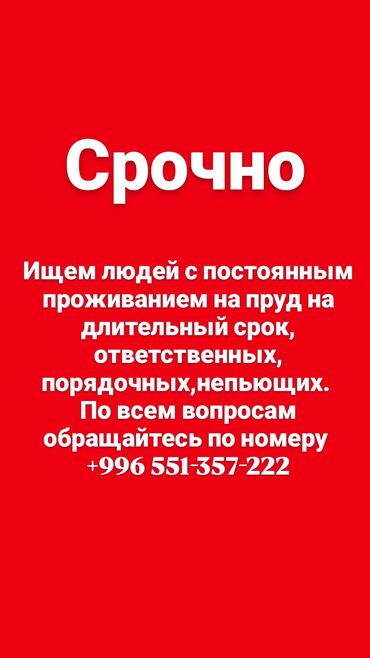 работа бишкек разнарабочий: Срочно Срочно Срочно