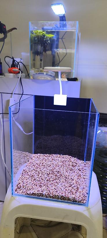 akvarium baliqlari: Nano akvarium dəsti - Şüşə nano akvarium - Üst hissəyə bərkidilən — 1