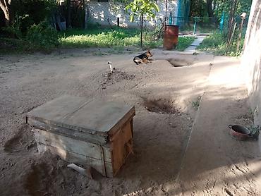 Продажа коттеджей и домов: 📍 Продается большой кирпичный дом на ст. Ивановка, Чуйская область — 8