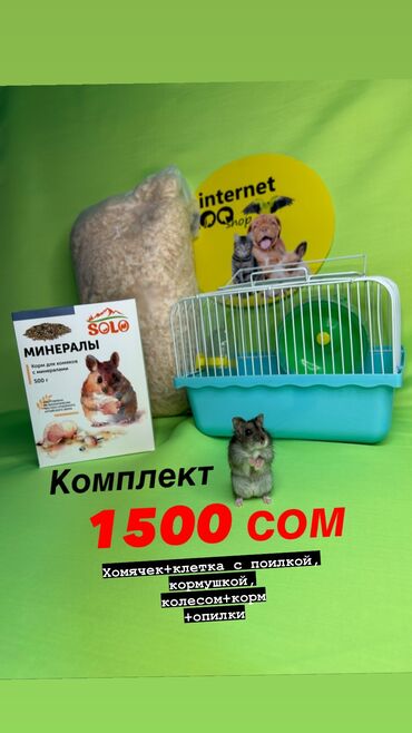 кормушка для скот: Комплект с хомячком. АКЦИЯ!!! В КОМПЛЕКТ ВХОДИТ: - одноэтажная клетка