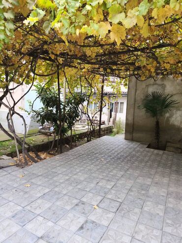 Kommersiya daşınmaz əmlakının satışı: Suraxanı rayonu, Qaraçuxur Qəsəbəsinin tam merkəzində, 8 sot torpaq — 4