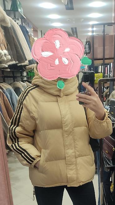 hind geyimi: Puxovik kurtka, Adidas, L — 1